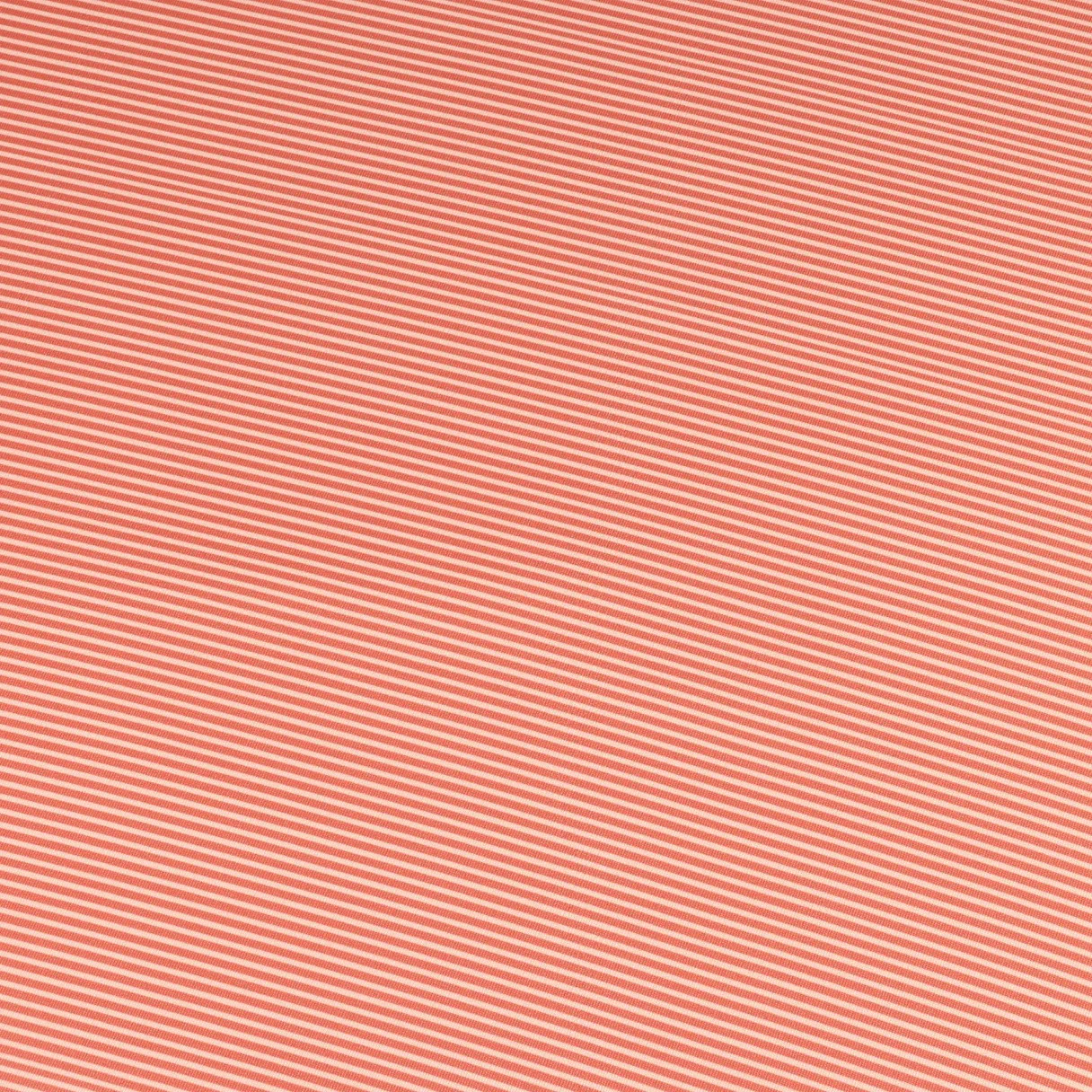 APEX MAINLINE POLO MICRO STRIPE - Image 4