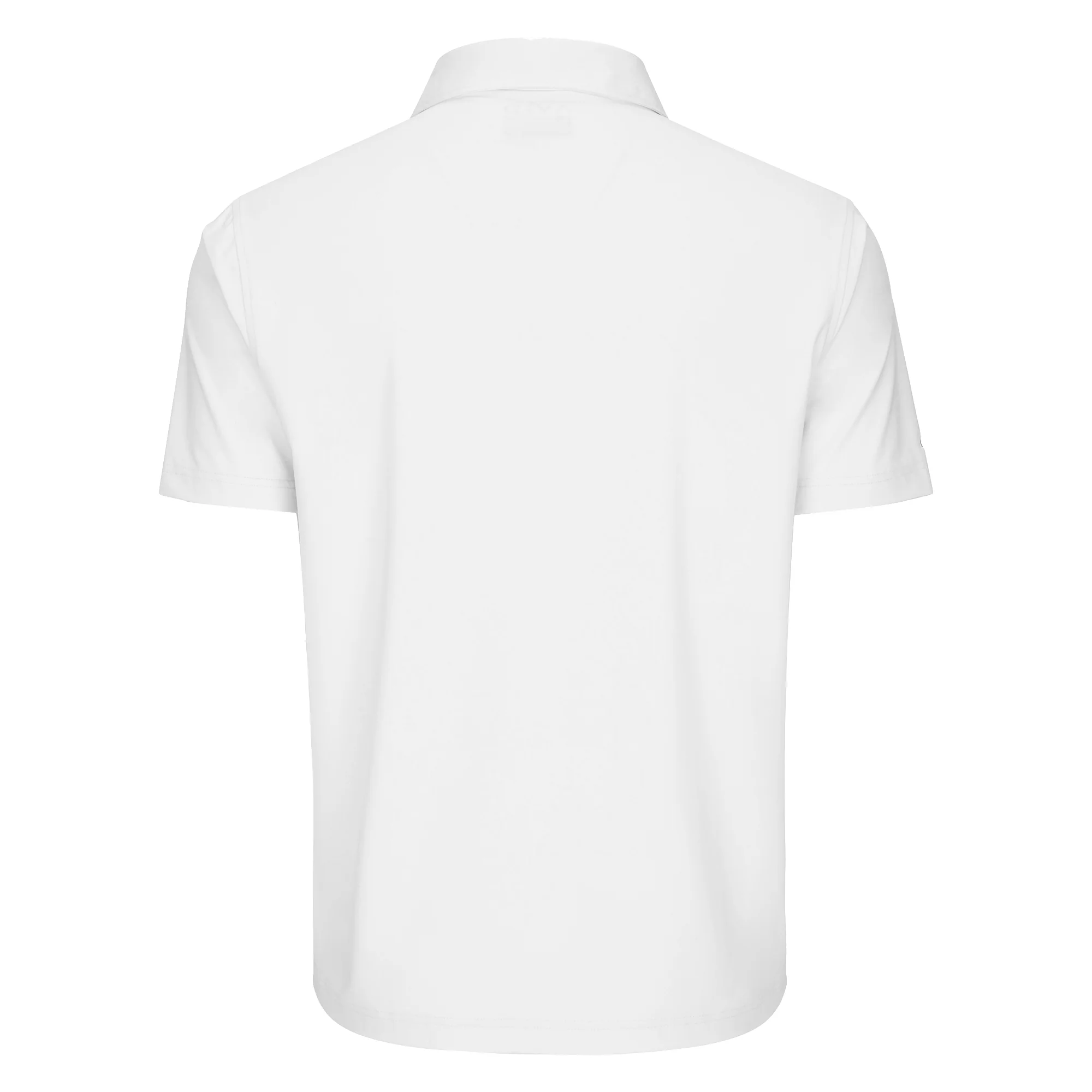 AVID MAINLINE POLO - Image 16