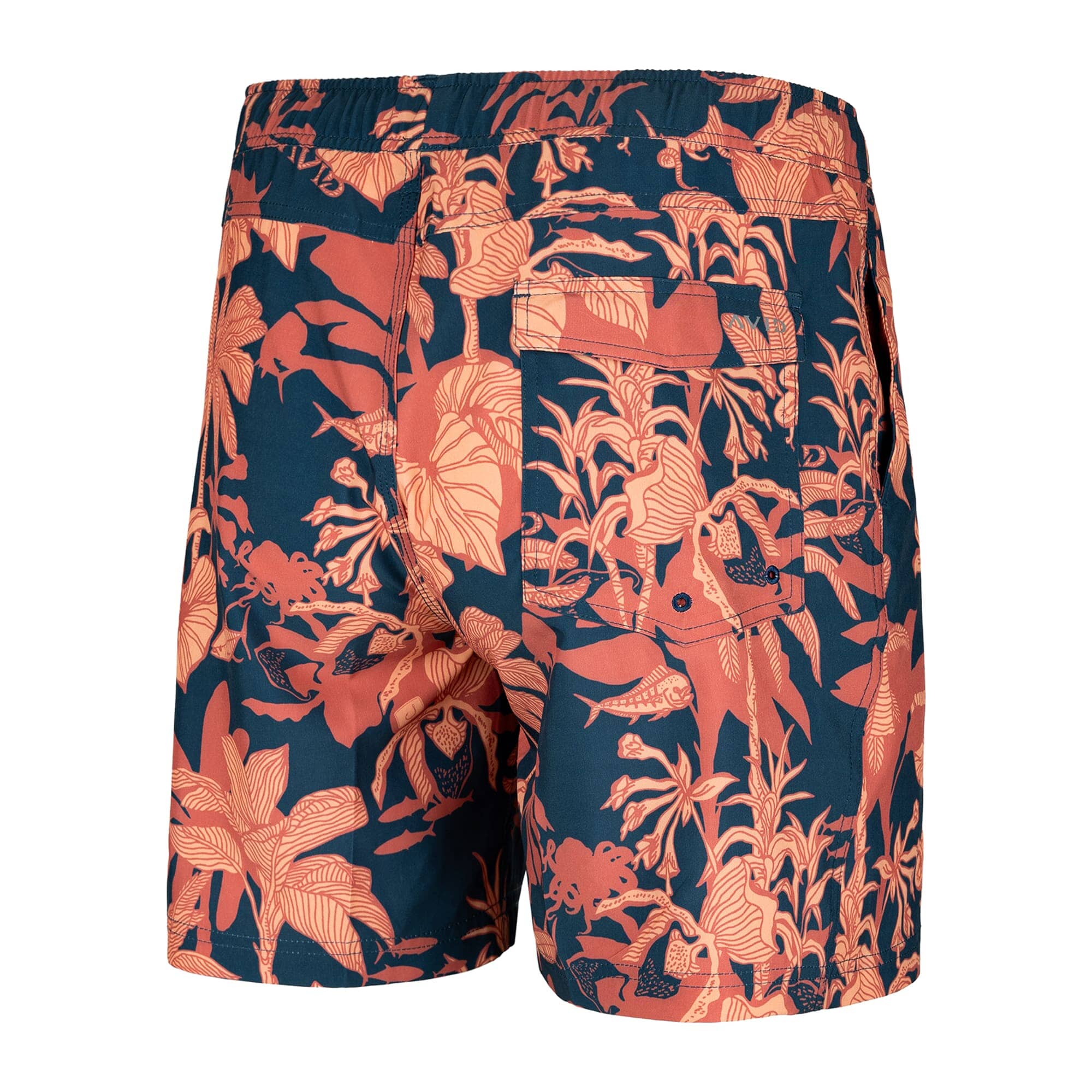 TORTUGA VOLLEY - Image 2