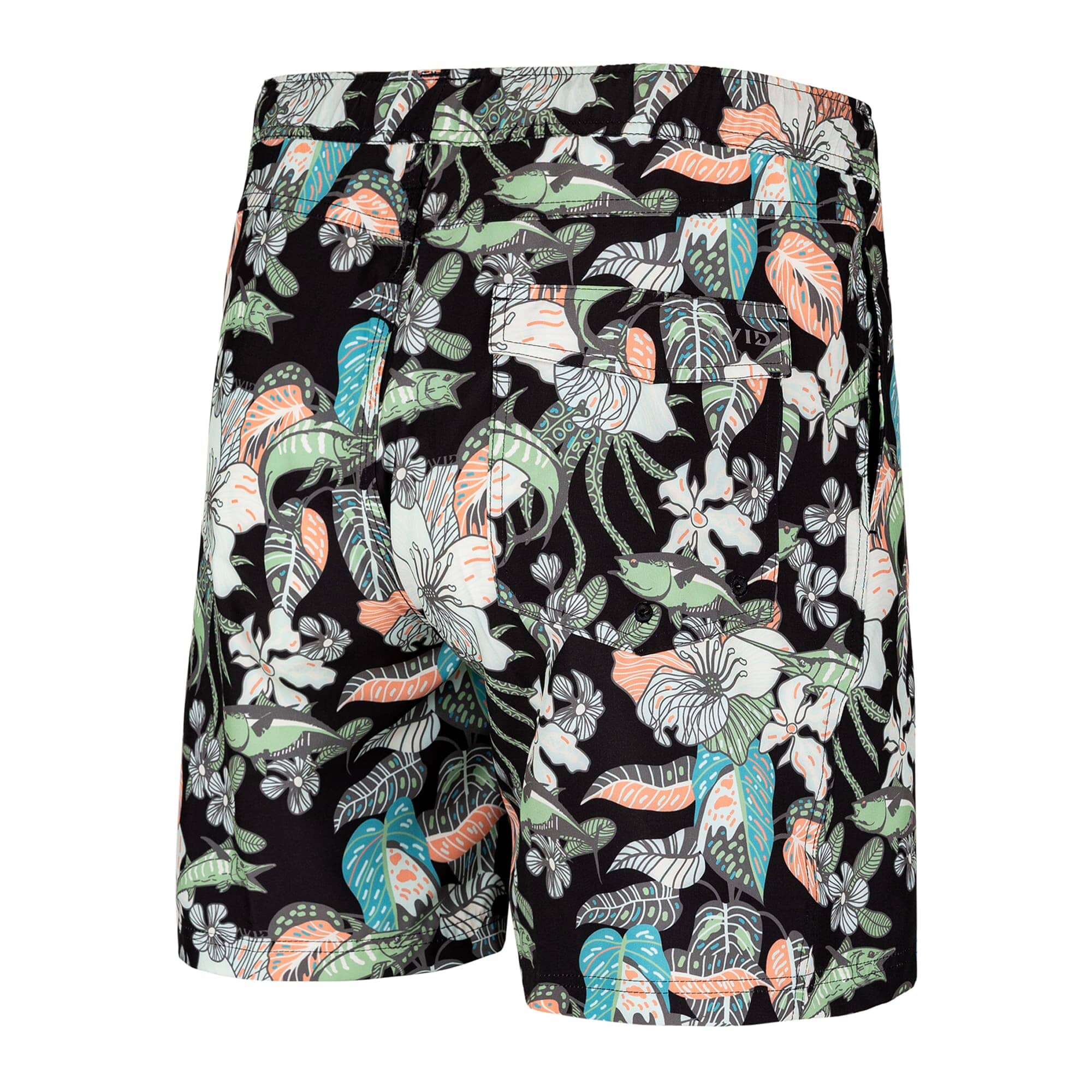TORTUGA VOLLEY - Image 7